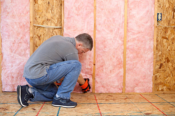 Best Insulation for New Construction  in Williston, SC